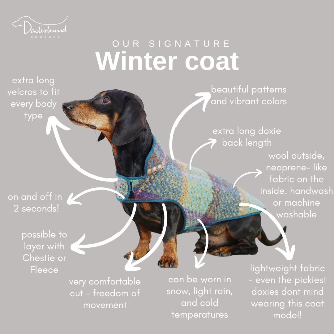 dachshund-dog-coat-pdf-sewing-pattern-new-releases for Free Printable Dachshund Sewing Pattern Dachshund Dog Coat PDF Sewing Pattern New Releases for Free Printable Dachshund Sewing Pattern