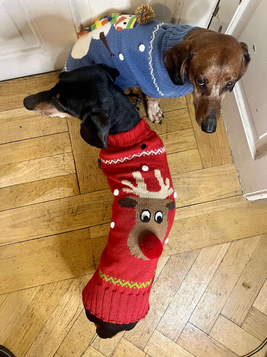 Red Christmas dachshund sweater Rudolph