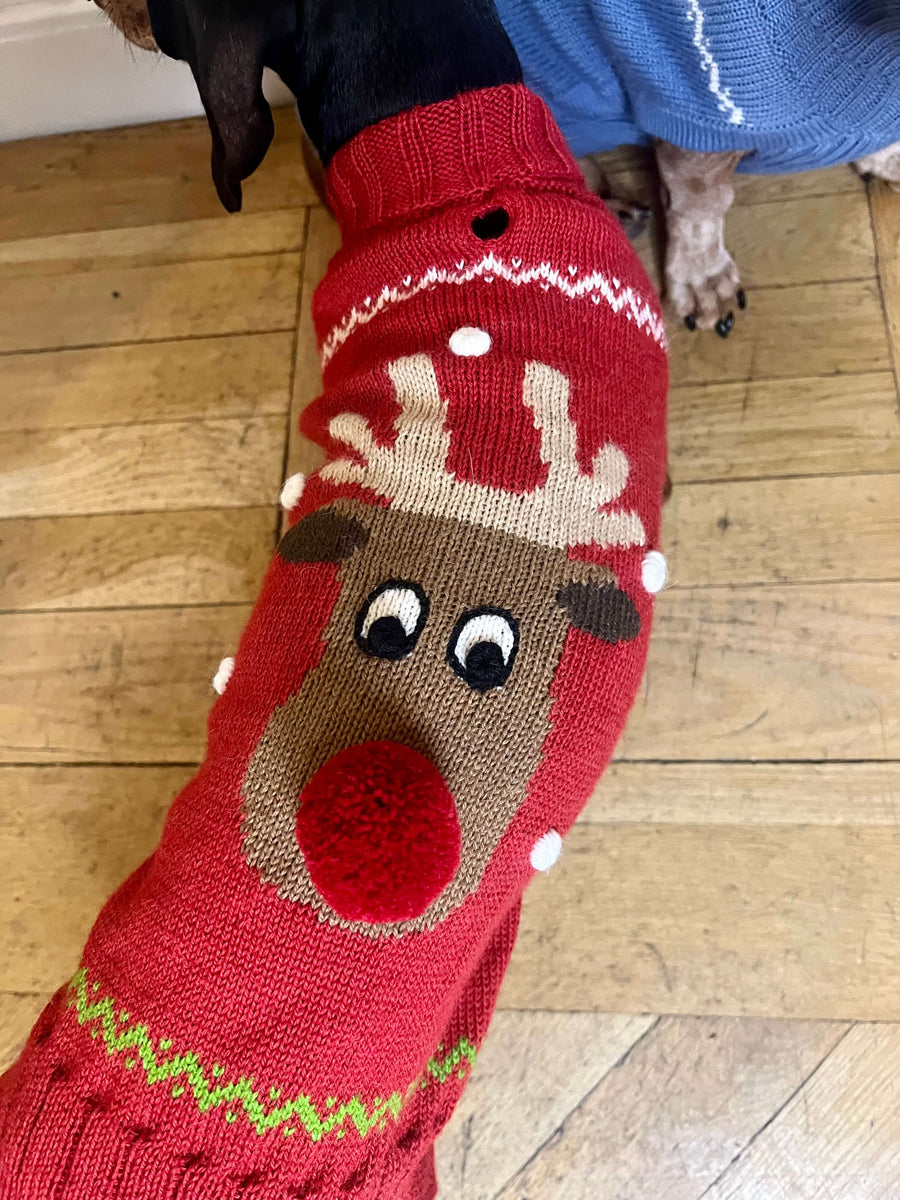 Red Christmas dachshund sweater Rudolph