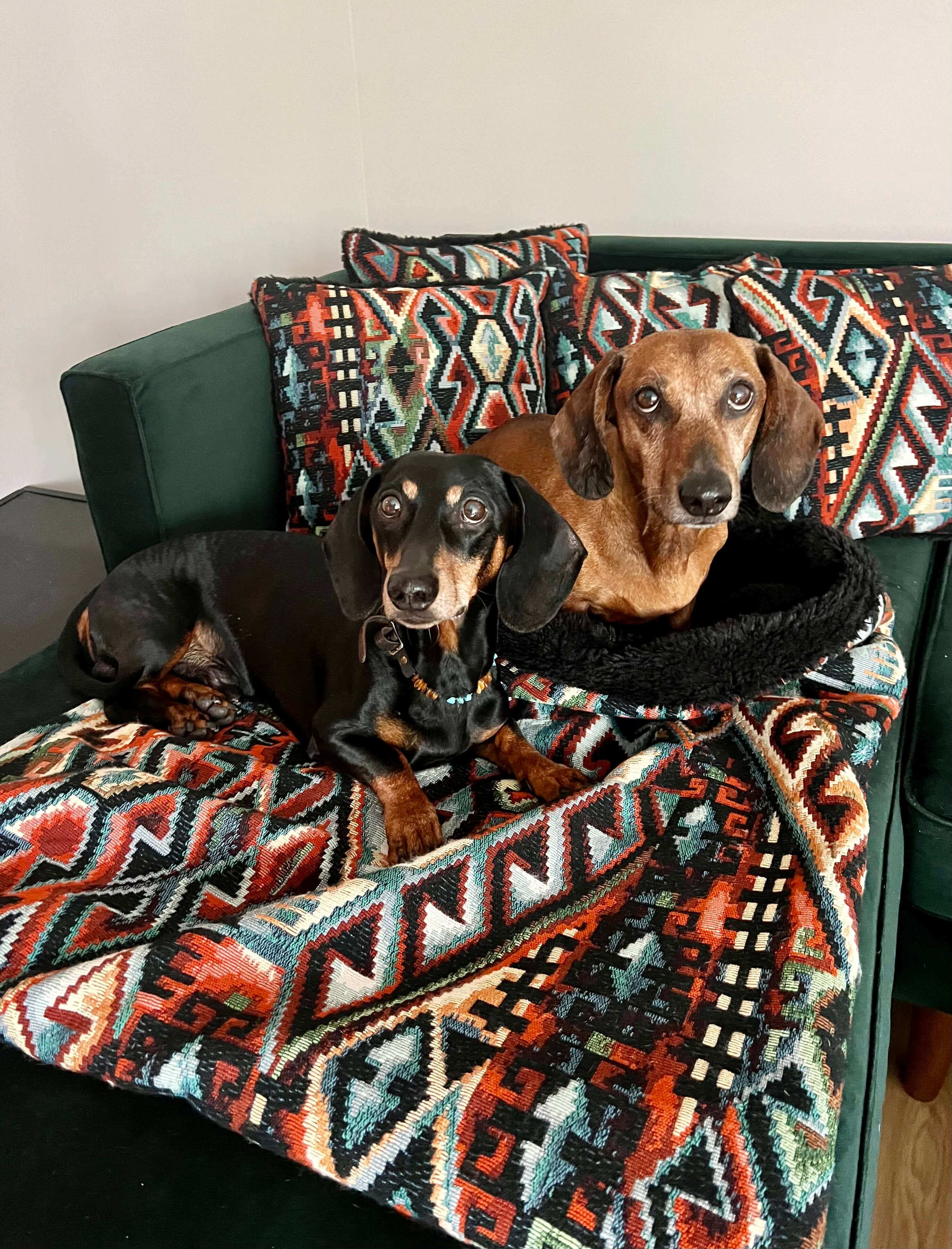 Dachshund snuggle outlet bag pattern