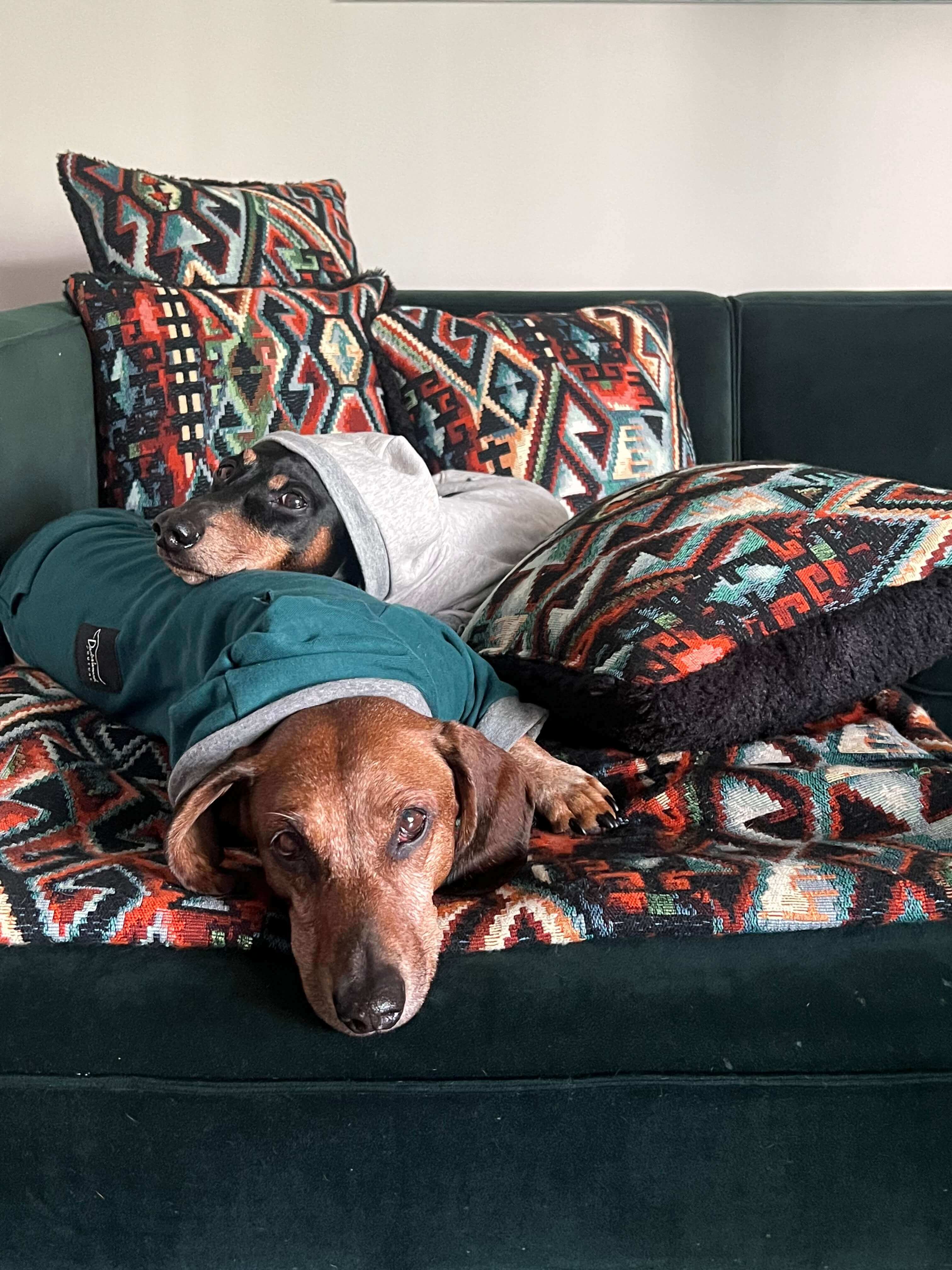 Dog clearance bed rug