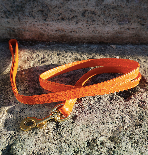 Ascot Leash - Orange Leather Hand Made Dog Leash