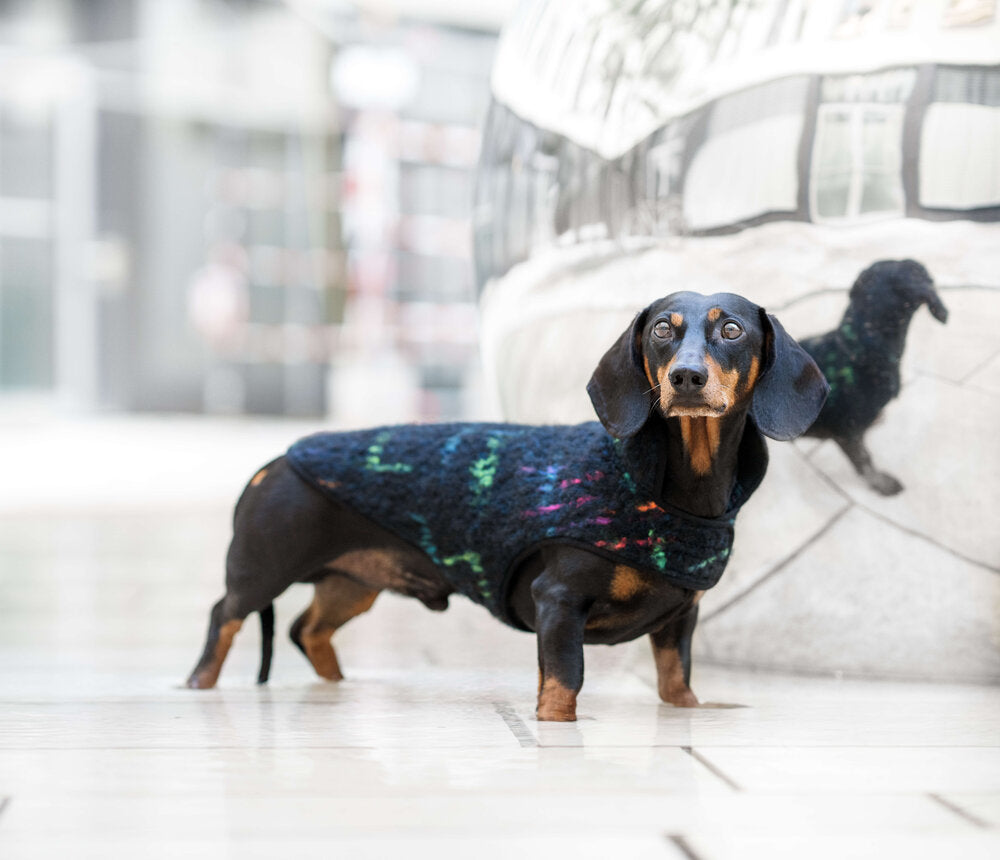 Sausage best sale dog coat