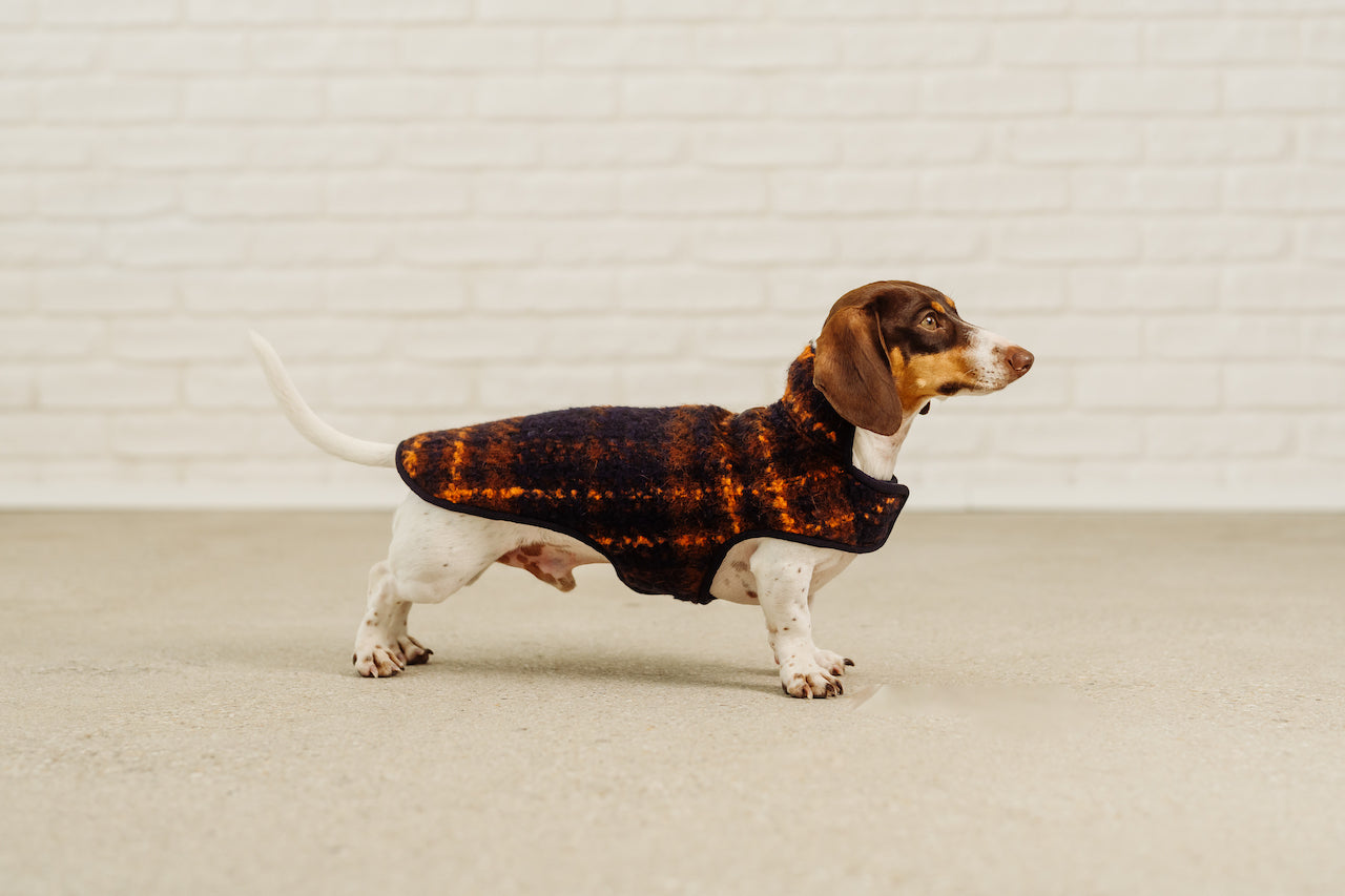 Weiner on sale dog jackets