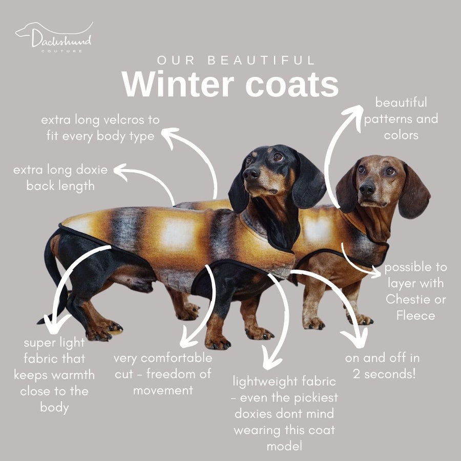 Dachshund coat Ai Wei Wei - limited edition -