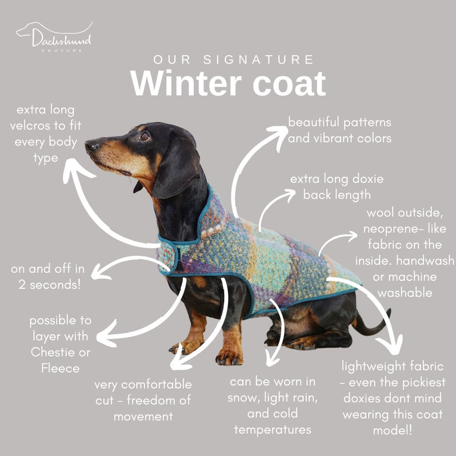 Dachshund coat Egon Schiele