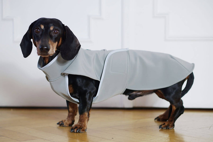 Softshell dachshund coat Miró in grey