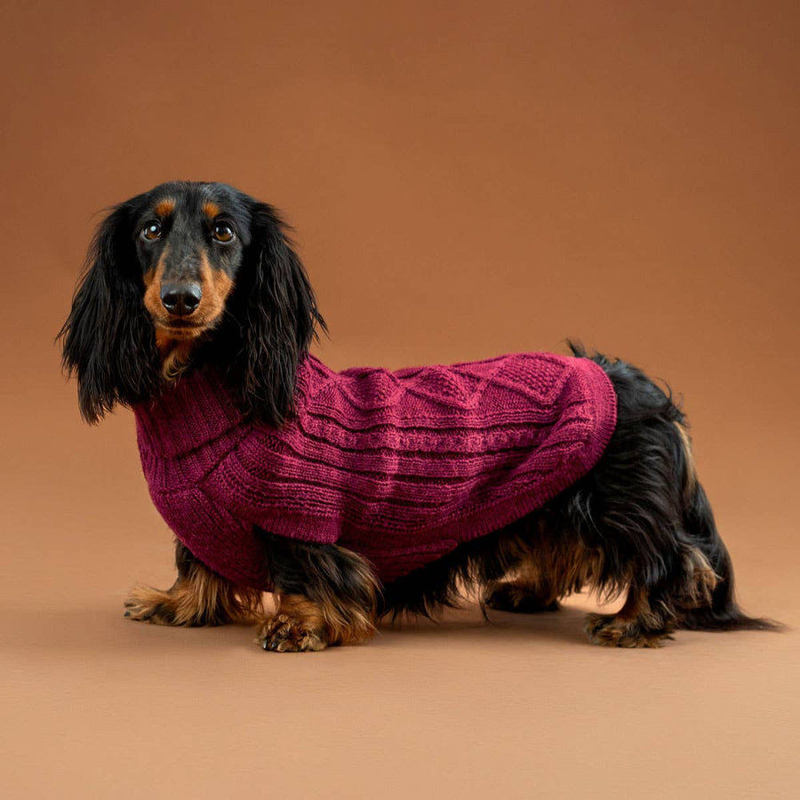 Weinroter Aran-Alpaka-Hundepullover