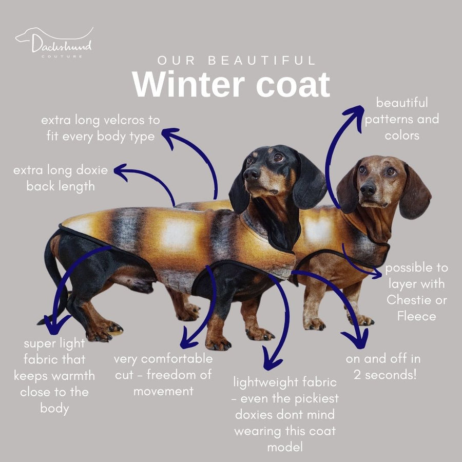 Dachshund coat Hundertwasser