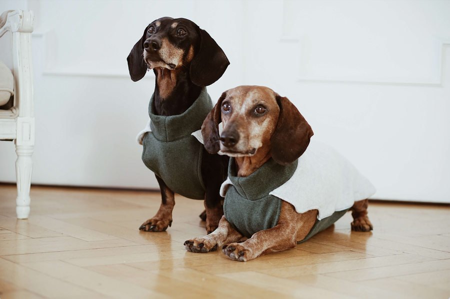 Dachshund fleece jumper outlet