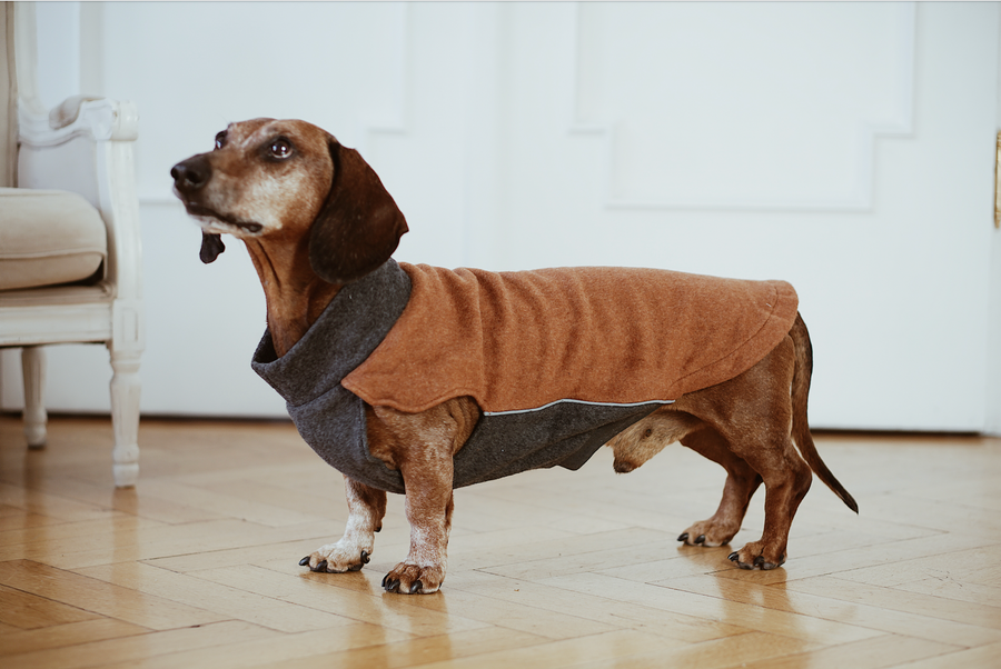 Dachshund top fleece jumper