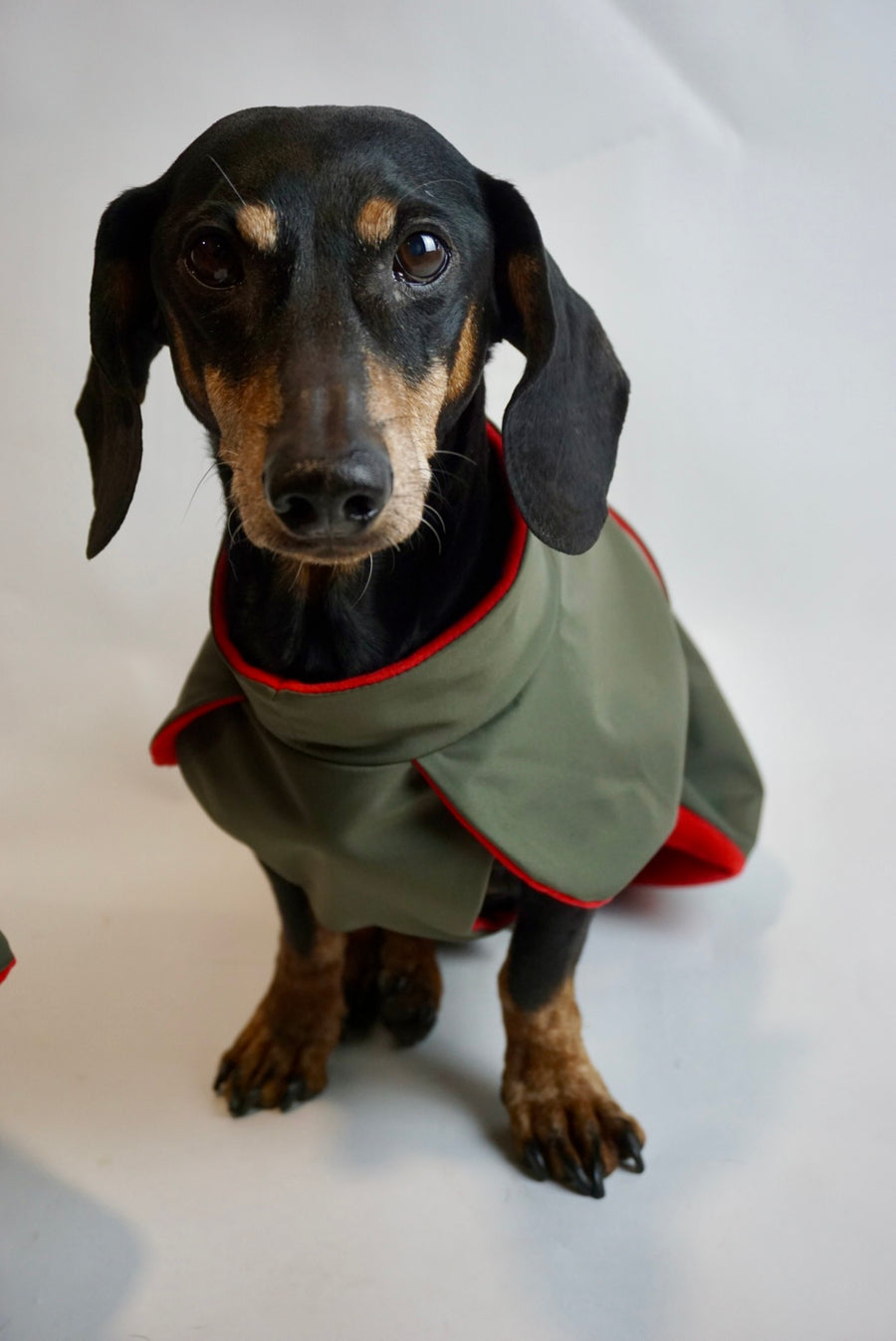 Green Parka Da Vinci with red fleece lining