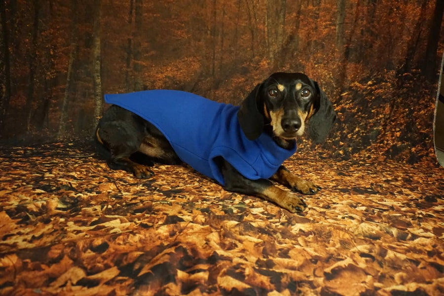 Royal Blue Fleece Pullover for Dachshunds