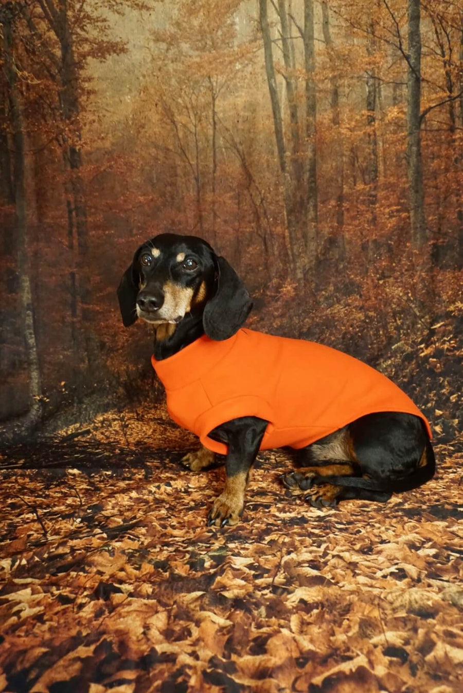 Red Fleece Pullover for Dachshunds