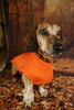 Red Fleece Pullover for Dachshunds