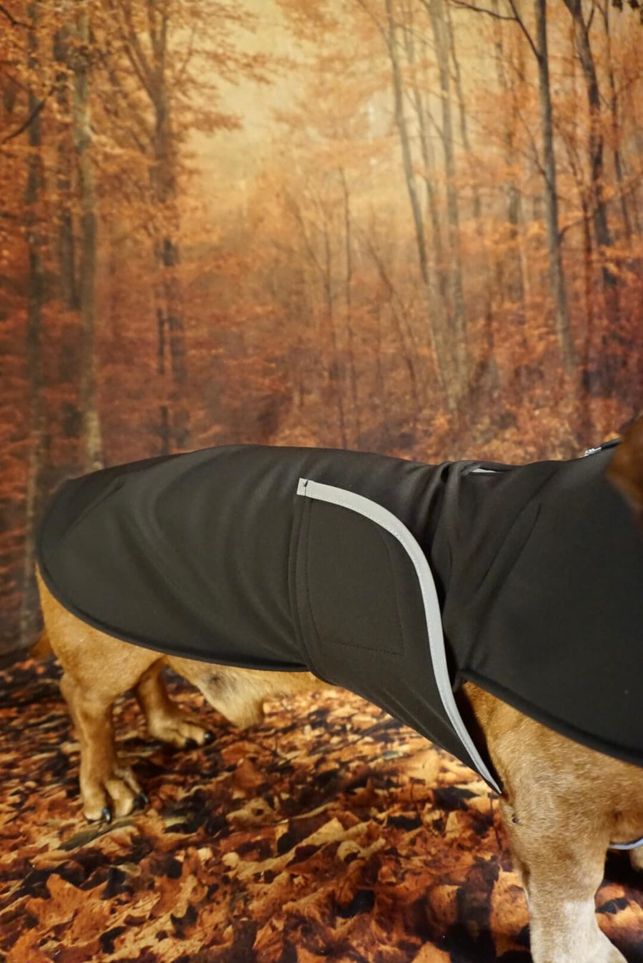 Black Softshell dog coat with covered chest