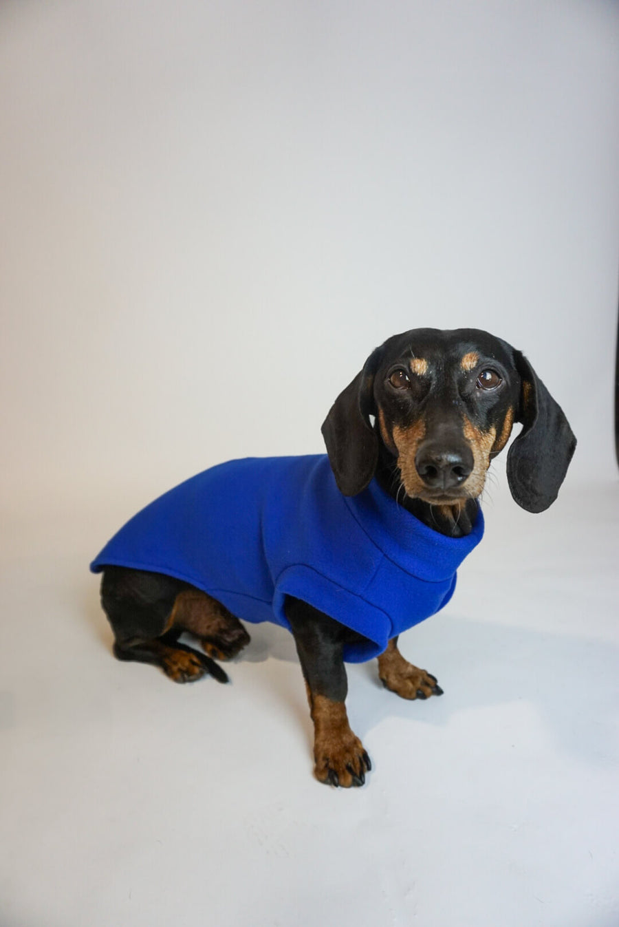 Royal Blue Fleece Pullover for Dachshunds