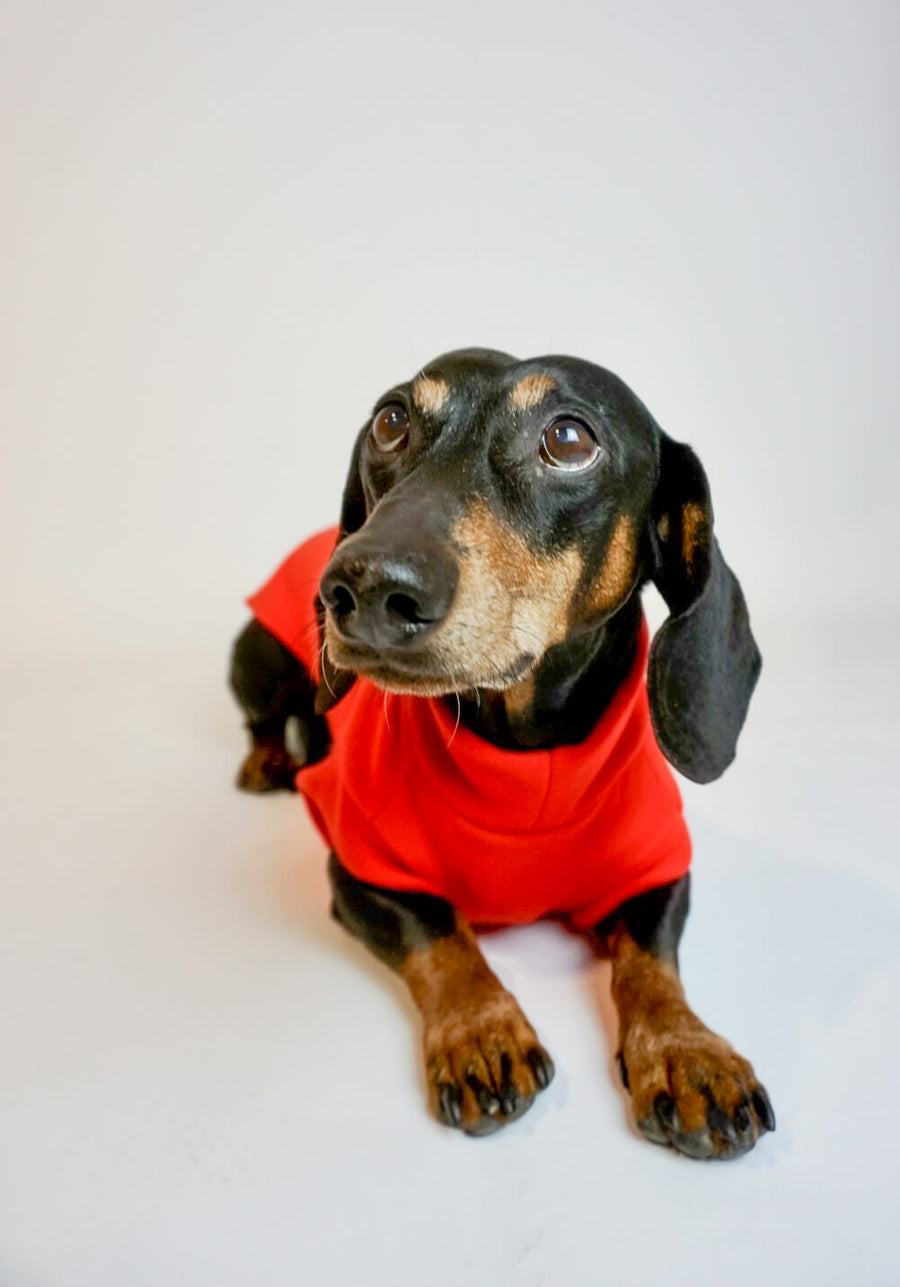 Red Fleece Pullover for Dachshunds