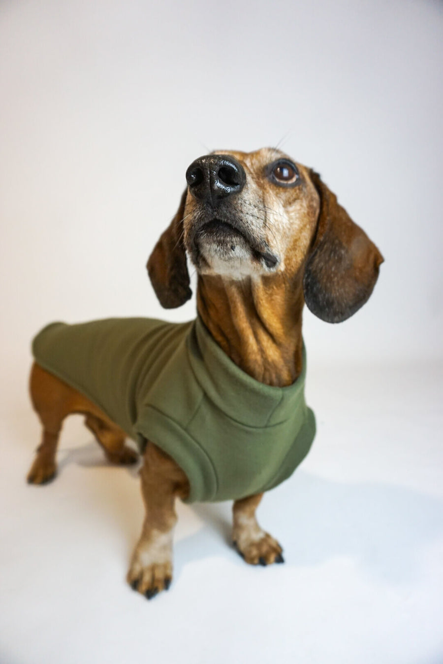 Olive Green Fleece Pullover for Dachshunds