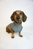 Light Grey Fleece Pullover for Dachshunds