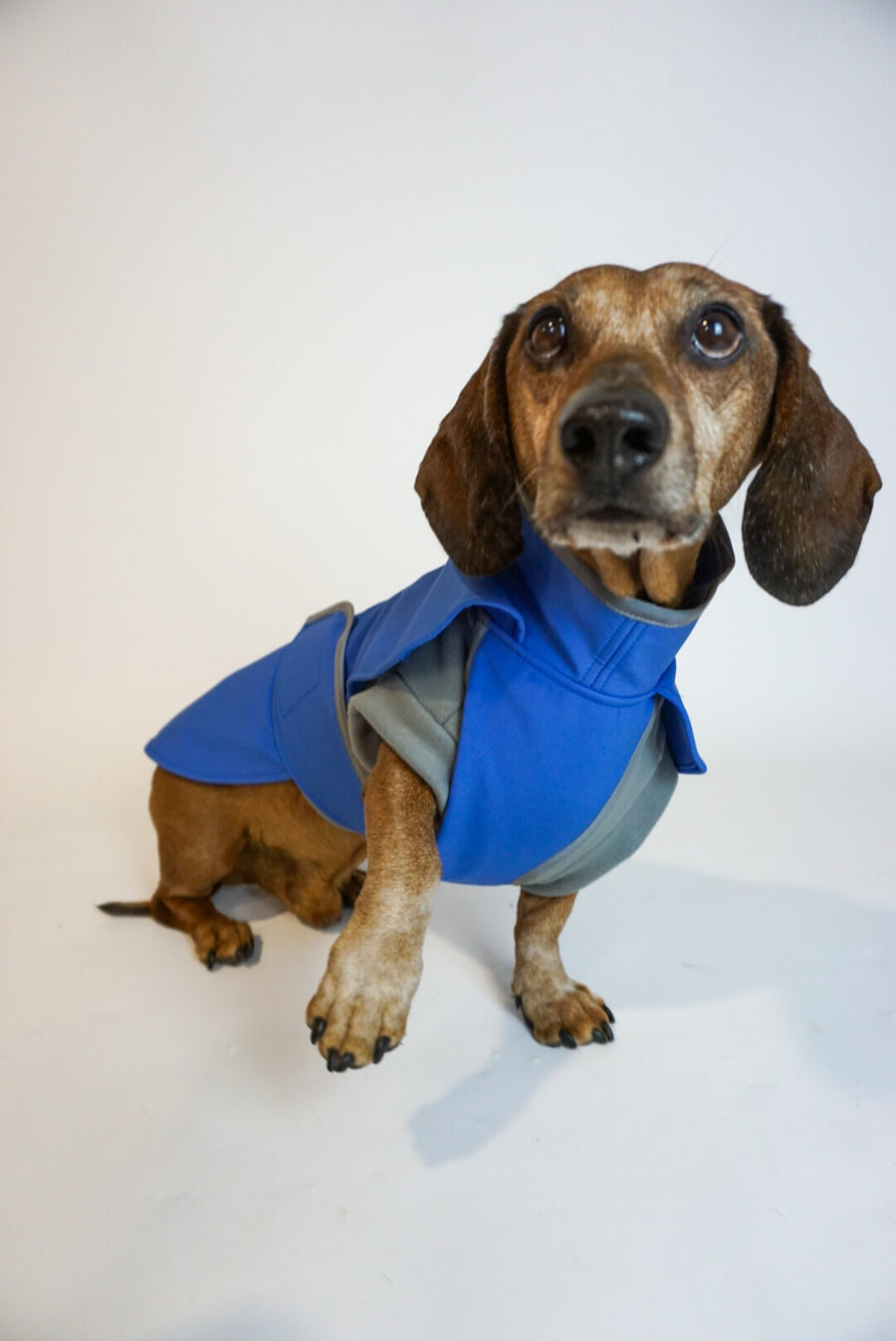 Manteau Softshell bleu ciel avec poitrine couverte