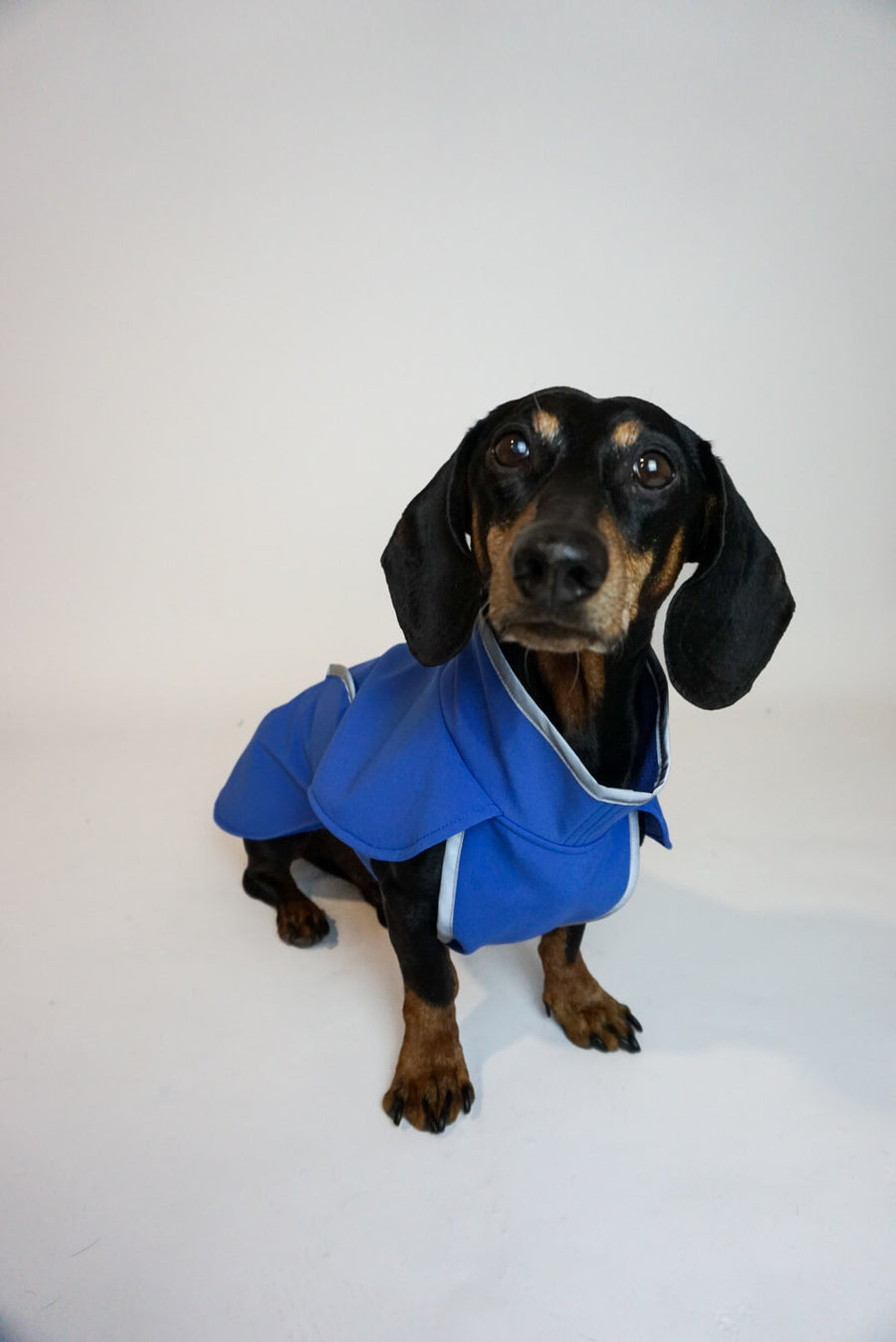 Sky Blue Softshell coat with covered chest