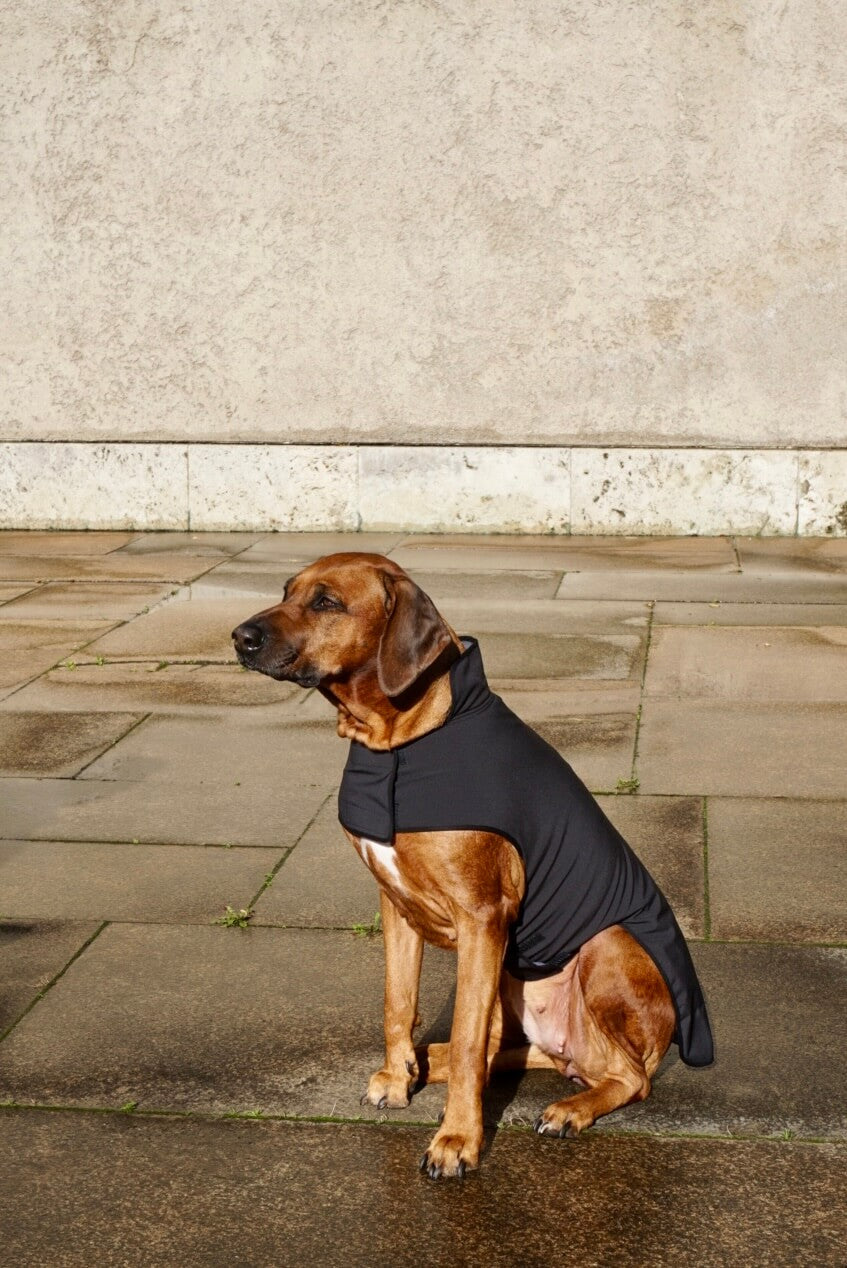 Black Softshell Raincoat for bigger breeds