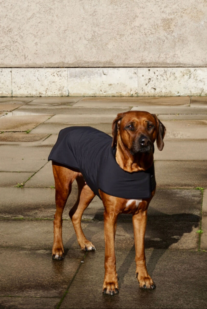 Black Softshell Raincoat for bigger breeds