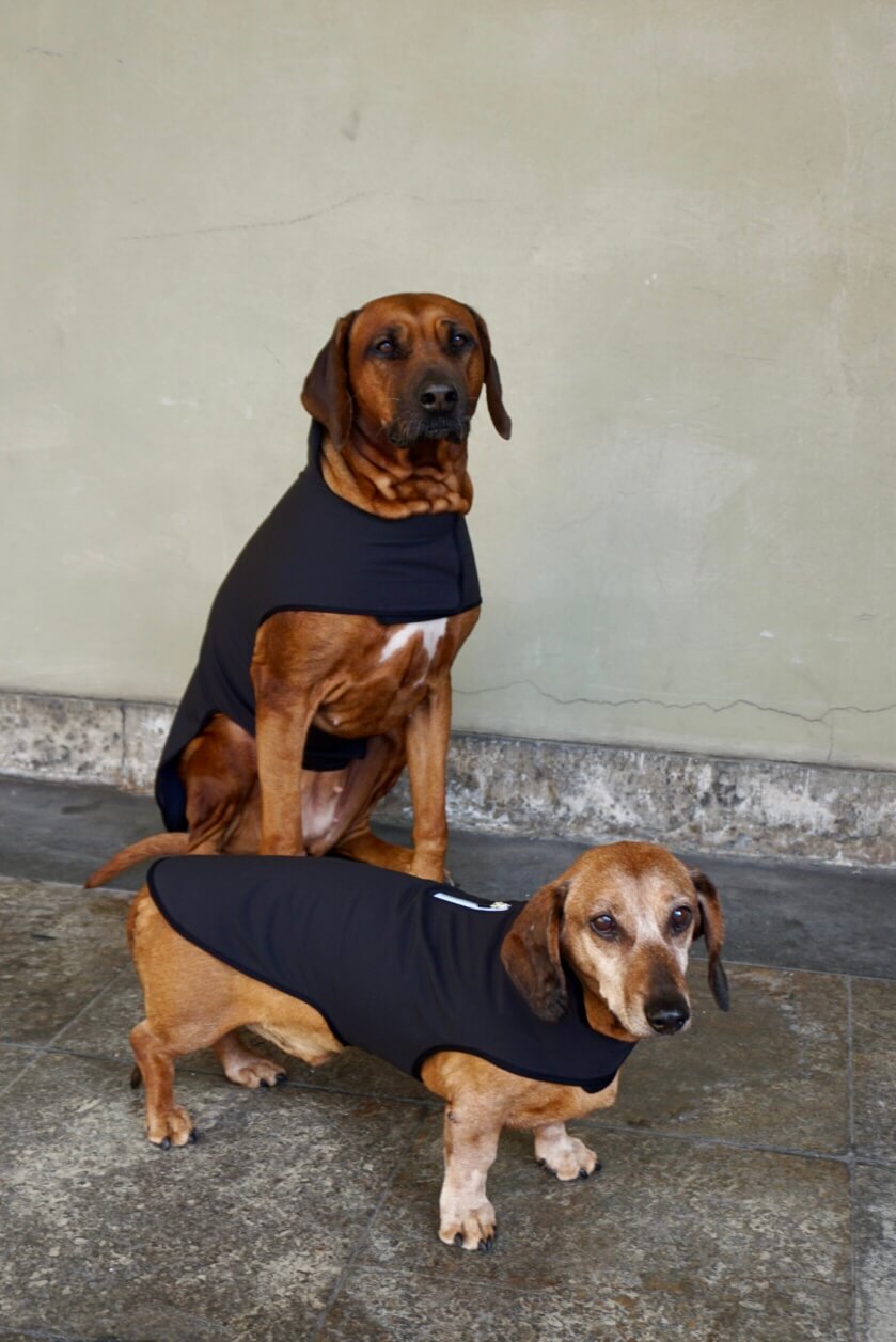 Black Softshell Raincoat for bigger breeds