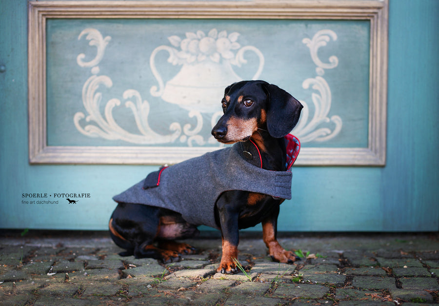 Design your Bavarian dachshund Janker