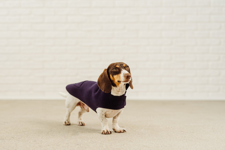 Kandinsky purple wool coat + Alpaca Hat