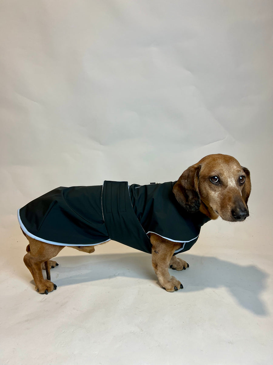 Navy Parka with Light Blue Fleece Lining