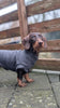 Anthrazit grey Cotton Fleece Dog Pullover