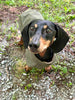 Green Parka Giacometti with MAROON fleece lining