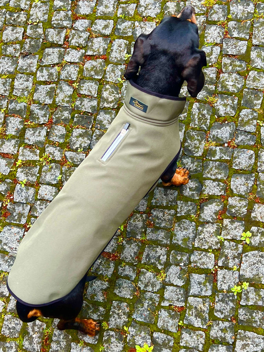 Olive Softshell raincoat for Dachshunds