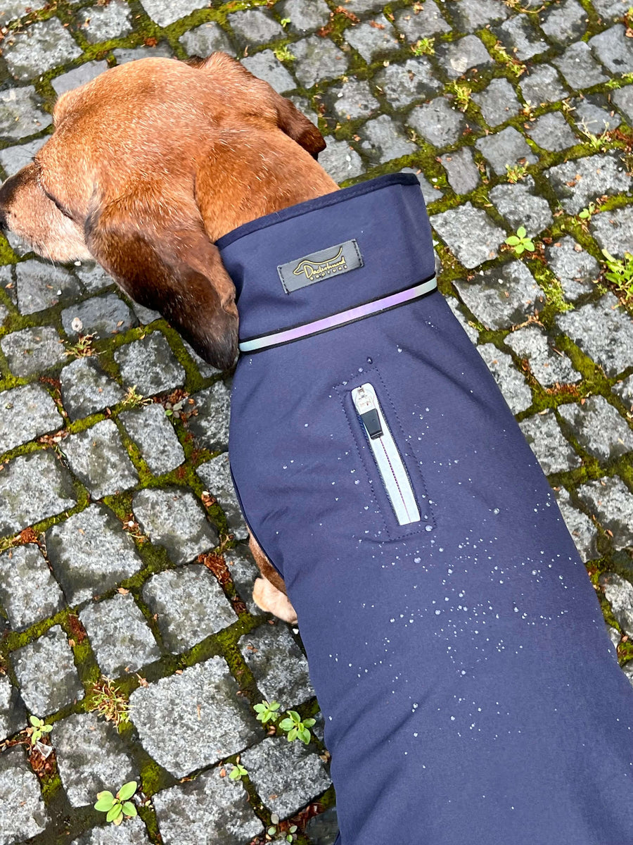 Navy Softshell raincoat for Dachshunds