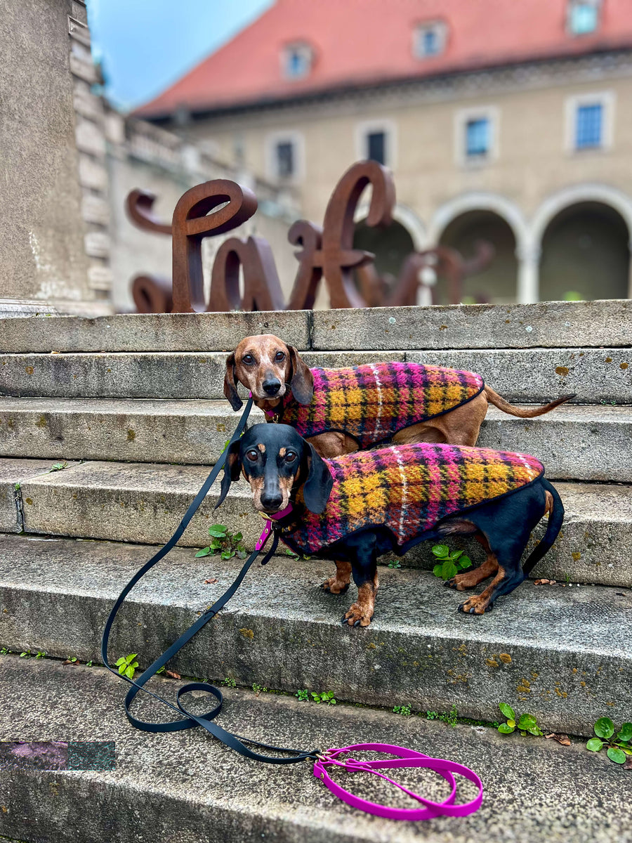 Biothane Collar & Leash set Raspberry