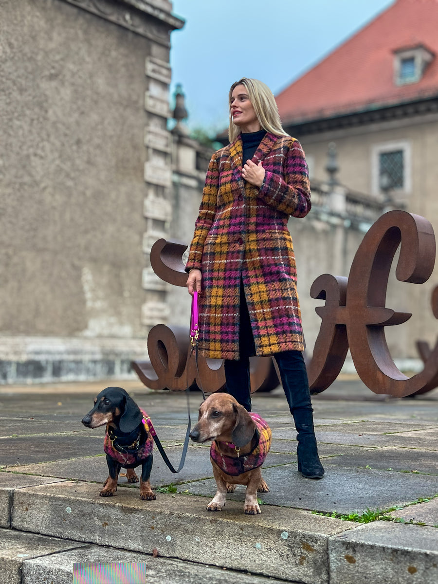 Pawtnerlook-Paket Egon Schiele