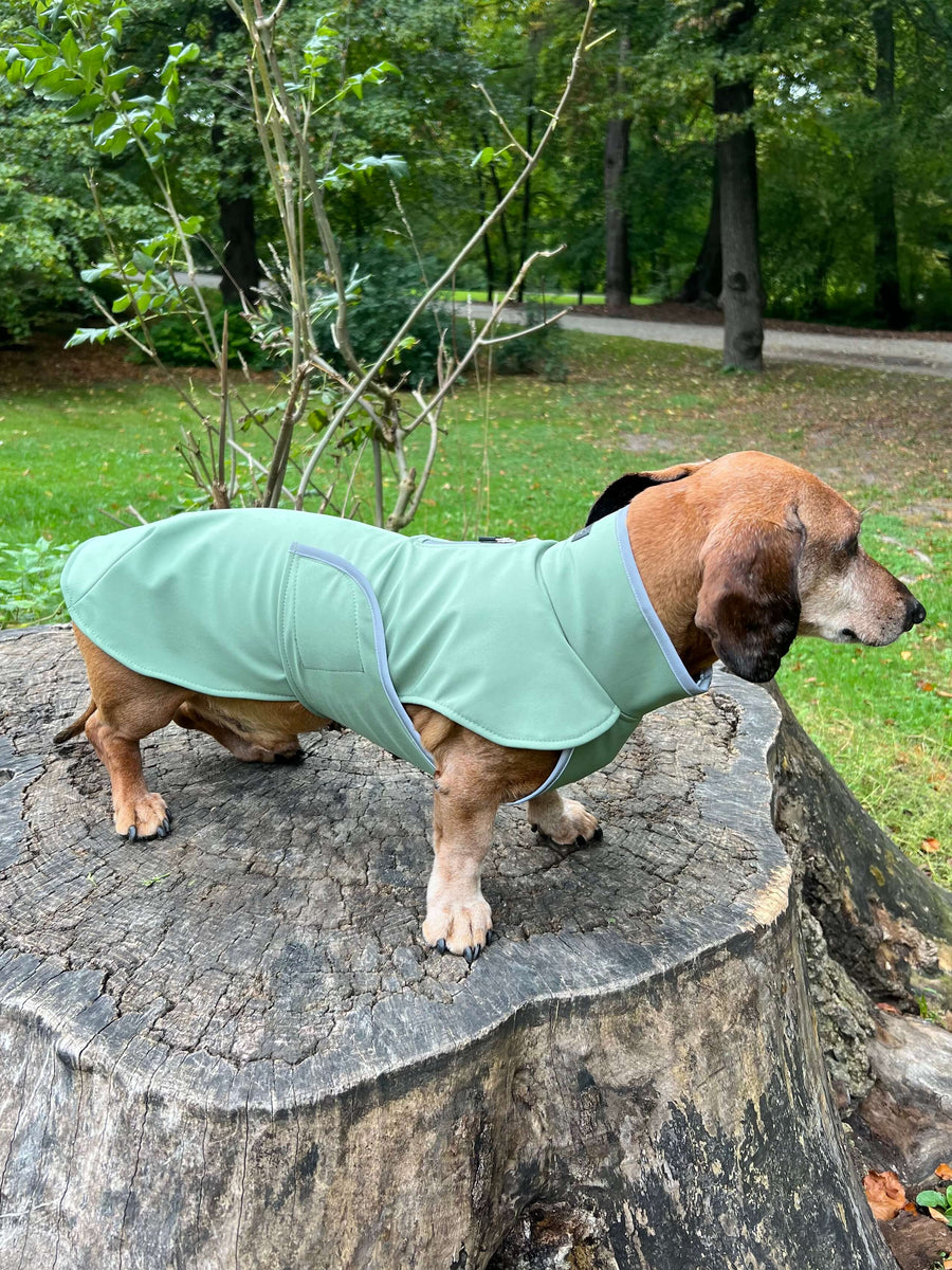 Green Softshell dog coat with covered chest