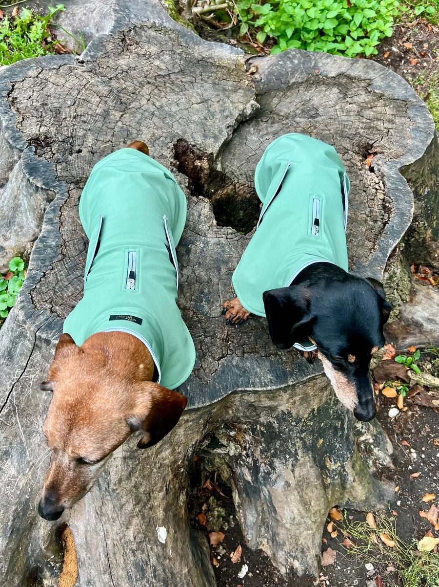 Green Softshell dog coat with covered chest