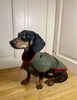 Parka DaVinci in green with red fleece lining