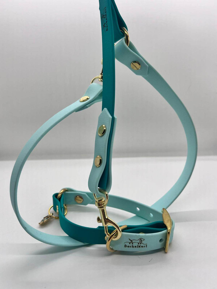 Pawtnerlook Package Deluxe Gauguin + turquoise Leash Set