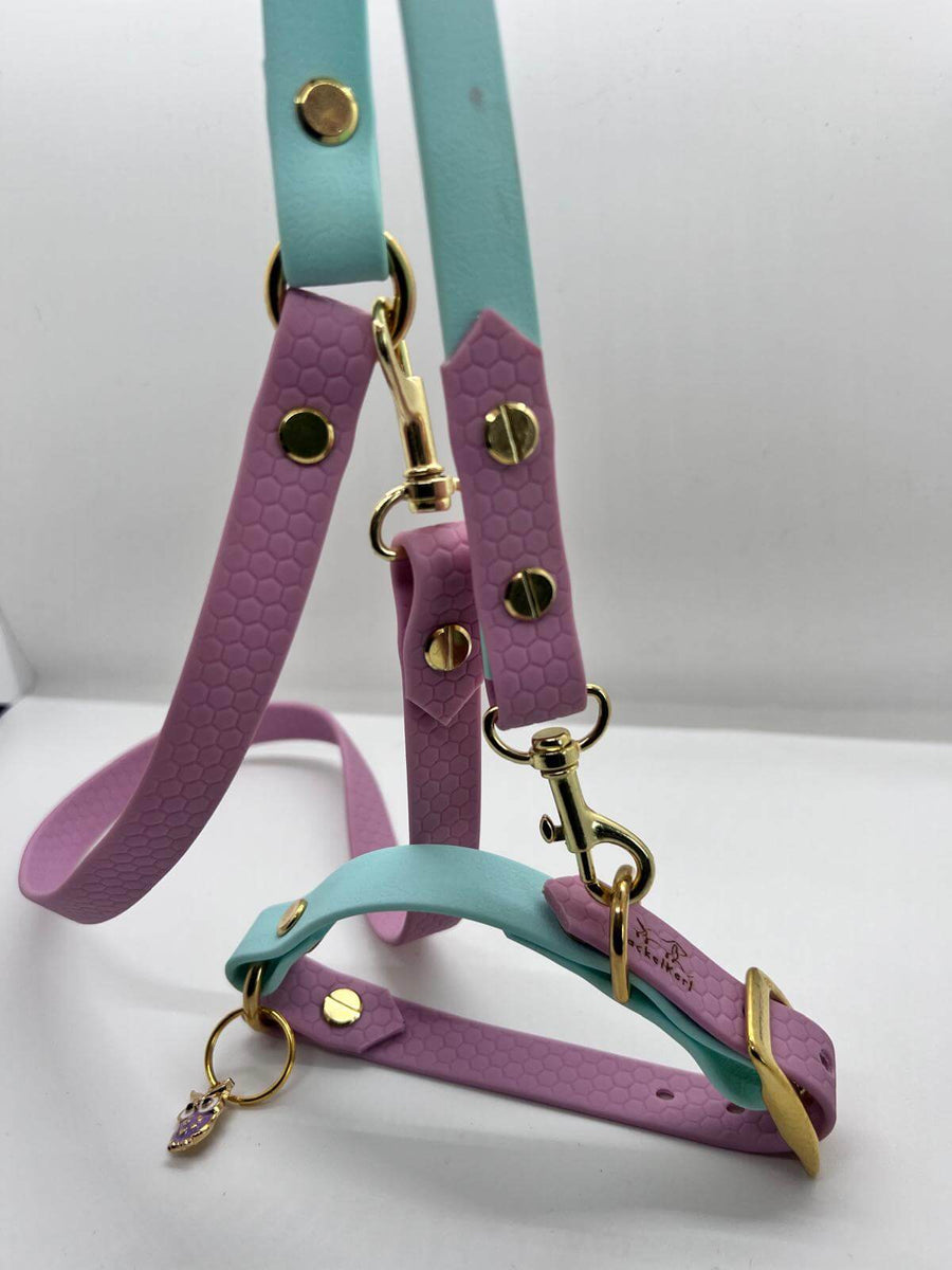 Pawtnerlook Package Deluxe Gauguin + Rosé & Turquoise Leash Set