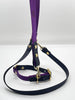 Biothane Collar & Leash set Blackberry