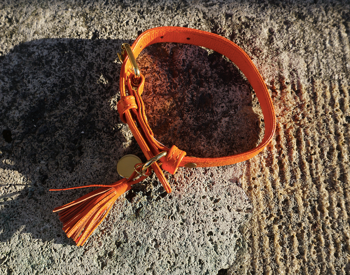 Orange leather dog collar