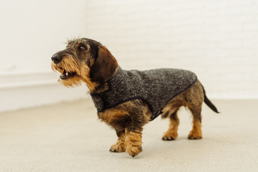 Wool dachshund coat Picasso dog winter jacket Dachshund couture