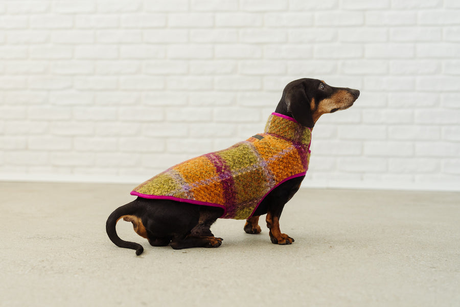 dog gear mantel Dachshund coat winter Degas Dackel wool pink coat fashion dog – Dachshund-couture.com