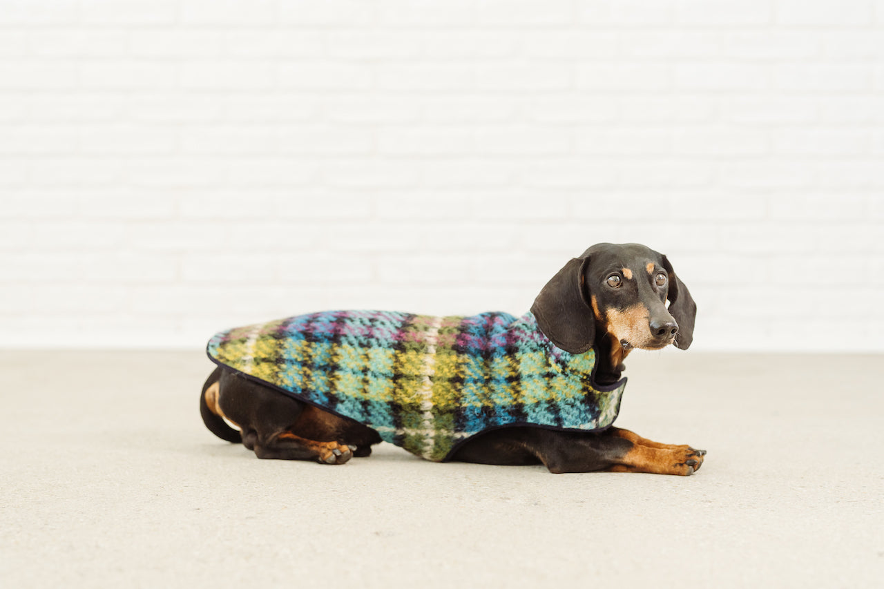 Dackel Mantel wool winter coat for dachshund couture warm dog jacket