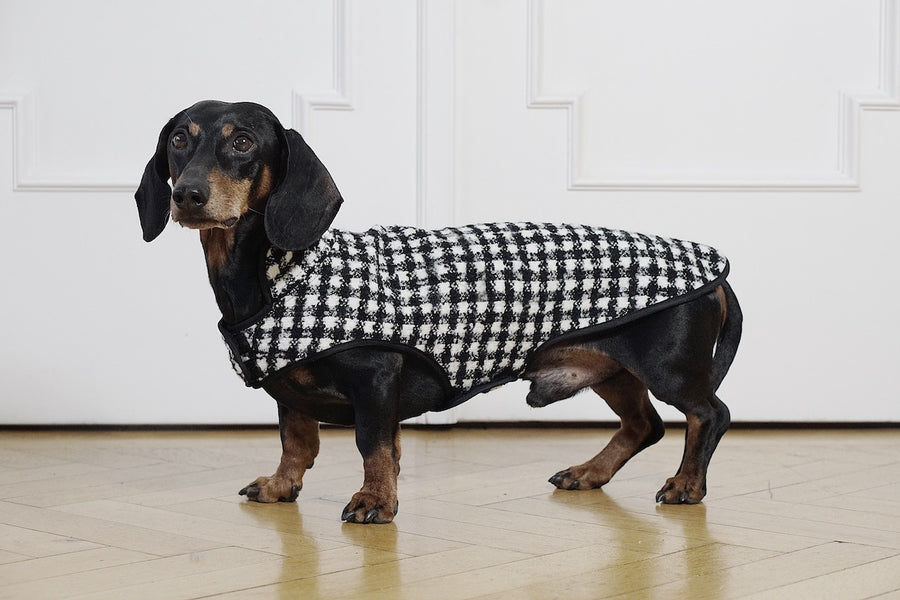 Sewing Pattern Dachshund Clothes Size Dog Sewing Pattern And Tutorial