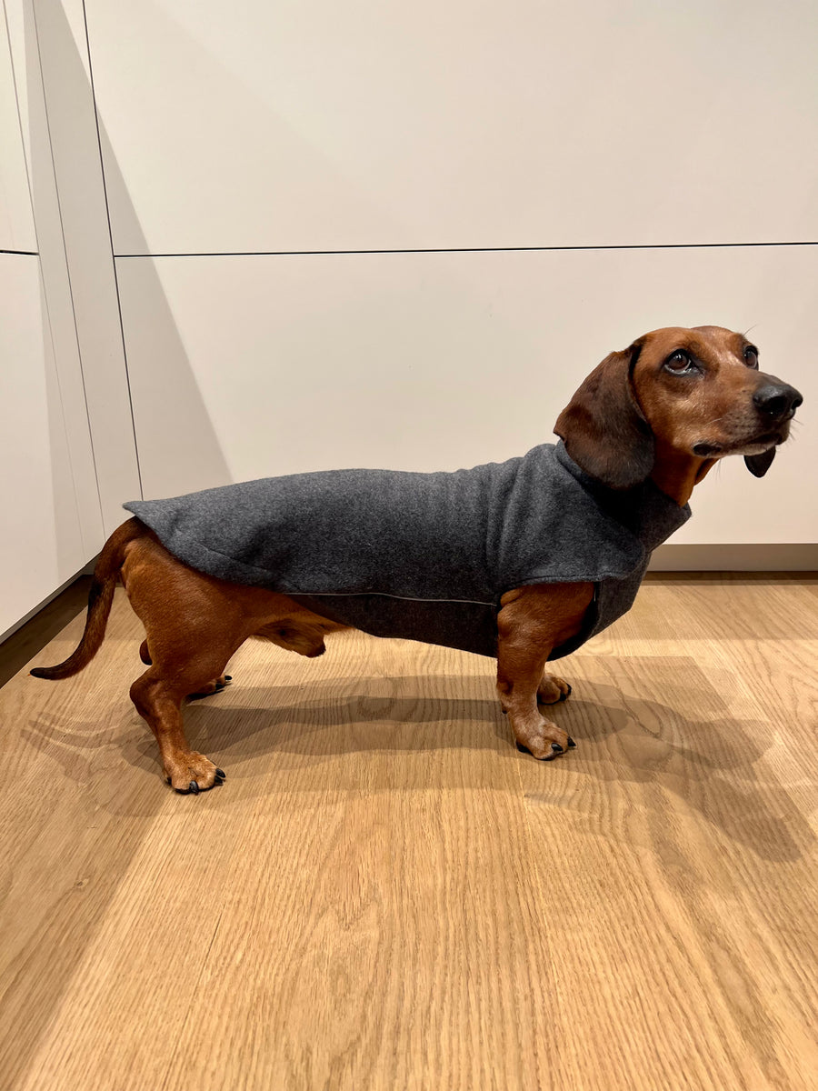 Dachshund pullover sales